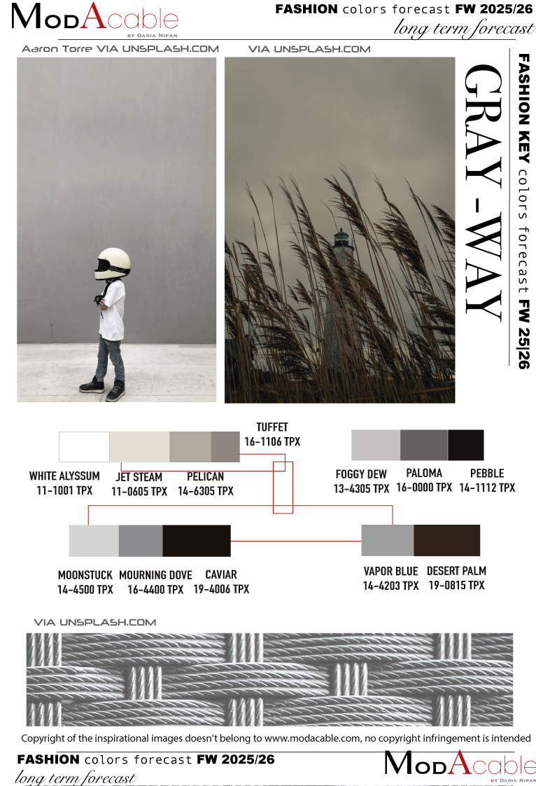 AI 25/26 Gray-way tendenza colore 